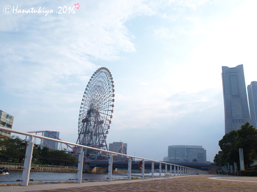 イメージ 3