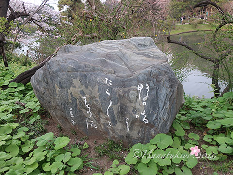 イメージ 12