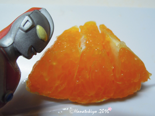 イメージ 5