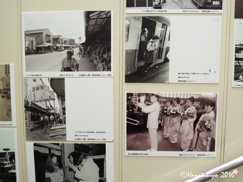 イメージ 6