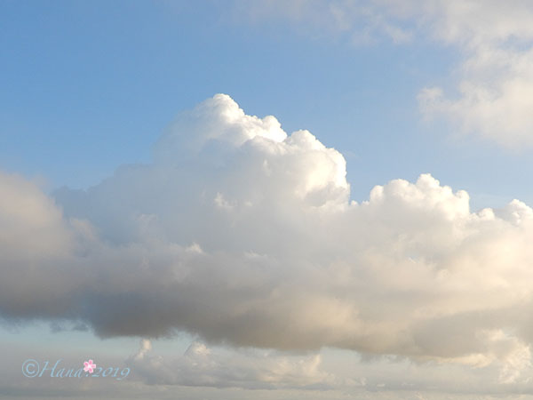 f:id:hana_b03A2019:20190912012059j:plain