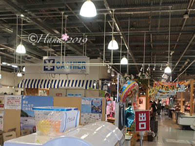 f:id:hana_b03A2019:20190921014421j:plain