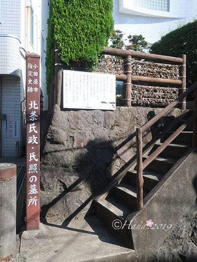 f:id:hana_b03A2019:20191204022525j:plain