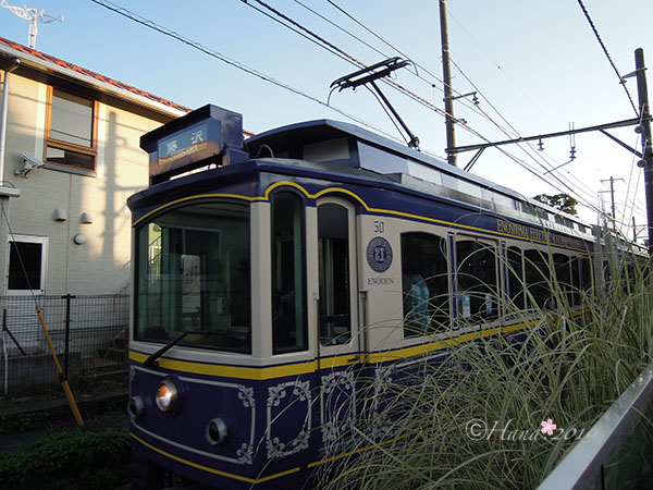 f:id:hana_b03A2019:20191218134225j:plain