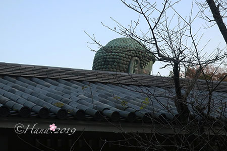 f:id:hana_b03A2019:20191218134531j:plain