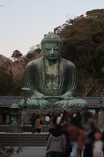 f:id:hana_b03A2019:20191218140826j:plain