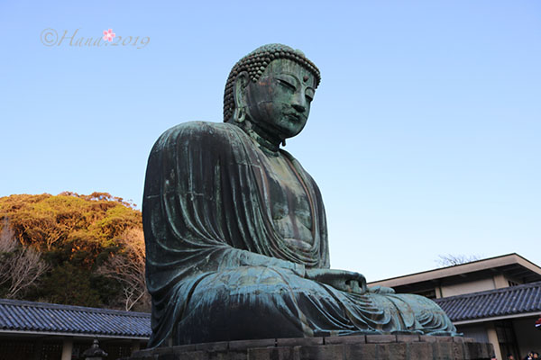 f:id:hana_b03A2019:20191218140852j:plain
