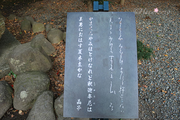 f:id:hana_b03A2019:20191218141109j:plain