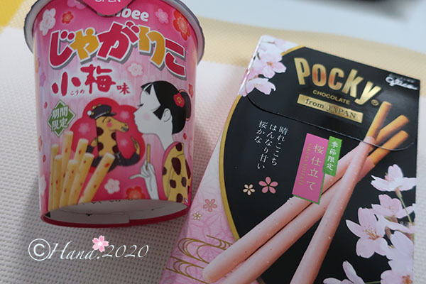 f:id:hana_b03A2019:20200122005930j:plain
