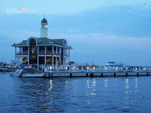 f:id:hana_b03A2019:20200207010330j:plain f:id:hana_b03A2019:20200207010330j:plain