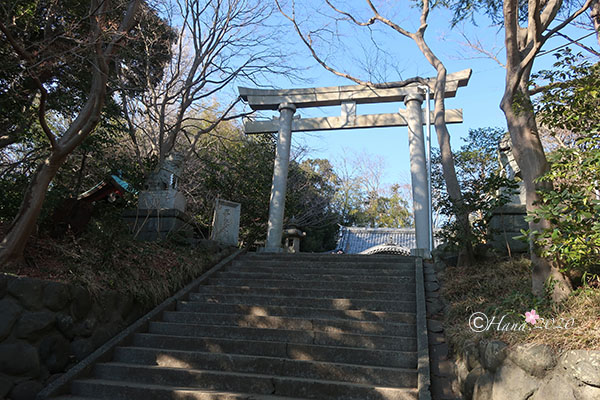 f:id:hana_b03A2019:20200213014327j:plain