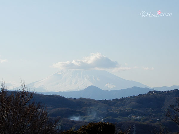 f:id:hana_b03A2019:20200213014400j:plain