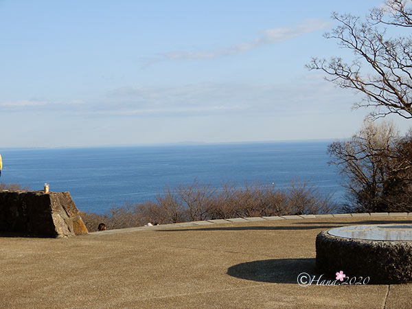 f:id:hana_b03A2019:20200213014403j:plain