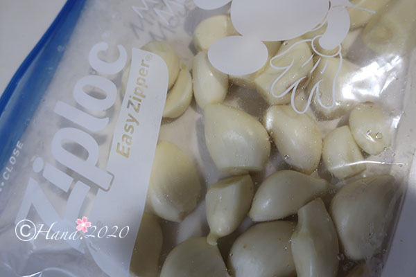 f:id:hana_b03A2019:20200330052159j:plain f:id:hana_b03A2019:20200330052159j:plain