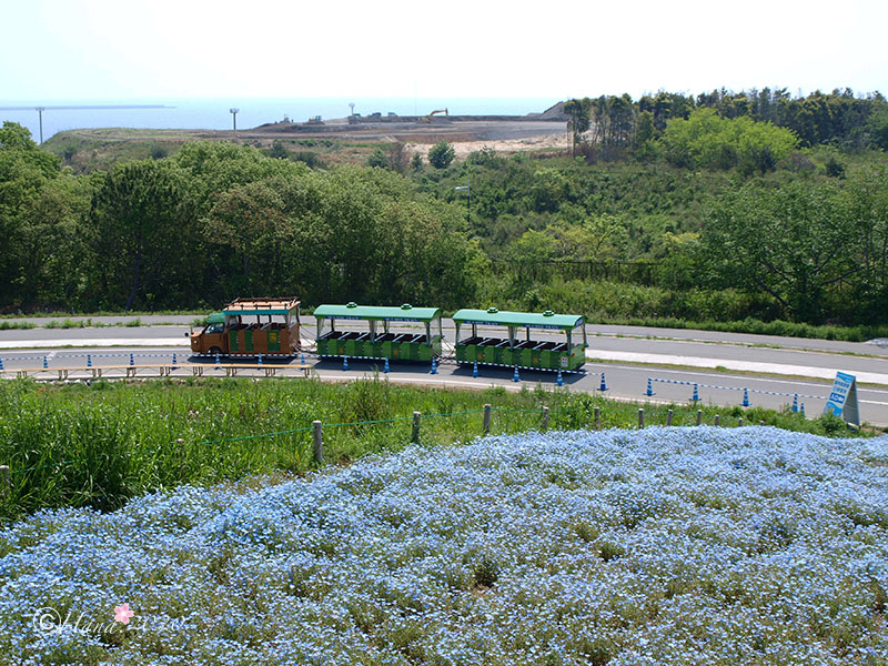 f:id:hana_b03A2019:20200419150736j:plain f:id:hana_b03A2019:20200419150736j:plain