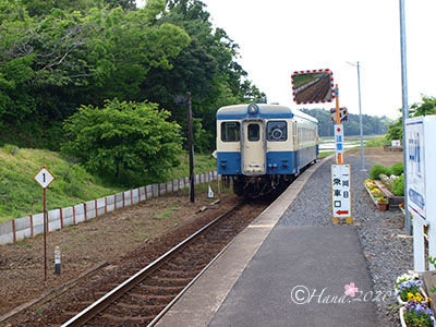 f:id:hana_b03A2019:20200419152101j:plain f:id:hana_b03A2019:20200419152101j:plain