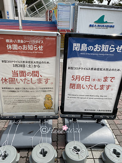f:id:hana_b03A2019:20200422013557j:plain