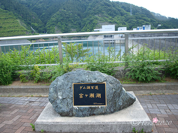 f:id:hana_b03A2019:20200529011049j:plain