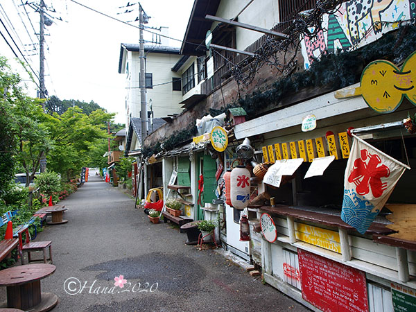 f:id:hana_b03A2019:20200529021458j:plain