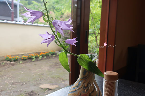 f:id:hana_b03A2019:20200613003835j:plain