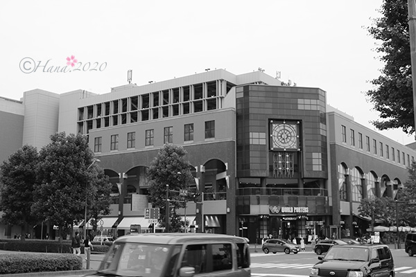 f:id:hana_b03A2019:20200628042504j:plain