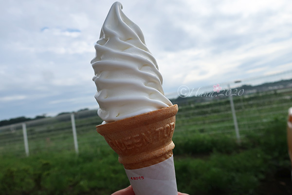 f:id:hana_b03A2019:20200719010529j:plain