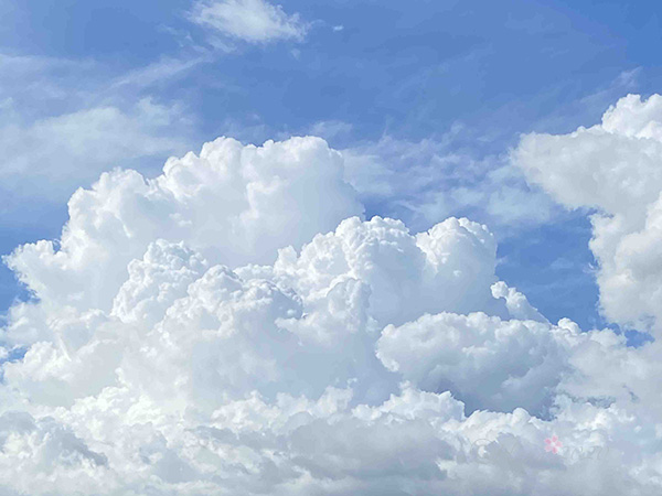 f:id:hana_b03A2019:20200909112018j:plain f:id:hana_b03A2019:20200909112018j:plain
