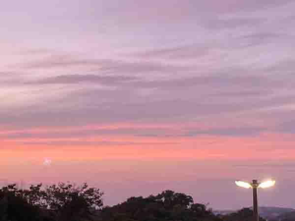 f:id:hana_b03A2019:20200909113414j:plain f:id:hana_b03A2019:20200909113414j:plain