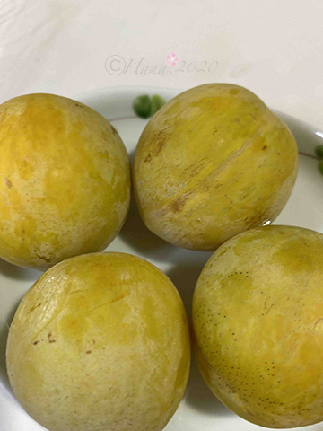 f:id:hana_b03A2019:20200909113706j:plain f:id:hana_b03A2019:20200909113706j:plain