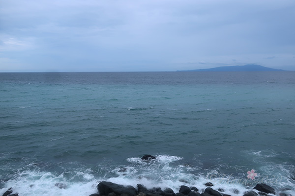 f:id:hana_b03A2019:20201022004949j:plain