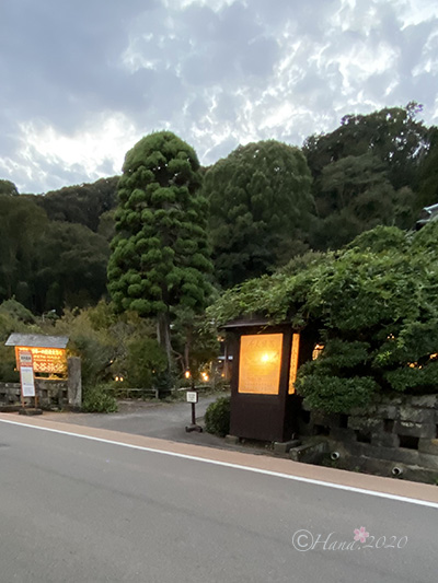 f:id:hana_b03A2019:20201031010147j:plain