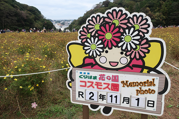 f:id:hana_b03A2019:20201103183203j:plain f:id:hana_b03A2019:20201103183203j:plain