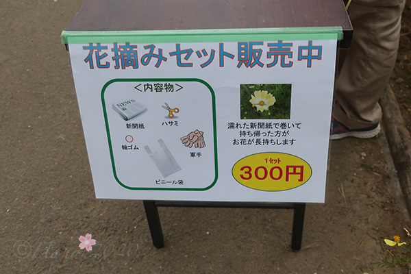 f:id:hana_b03A2019:20201103183219j:plain f:id:hana_b03A2019:20201103183219j:plain