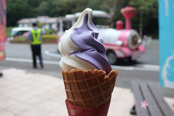f:id:hana_b03A2019:20201103184537j:plain f:id:hana_b03A2019:20201103184537j:plain