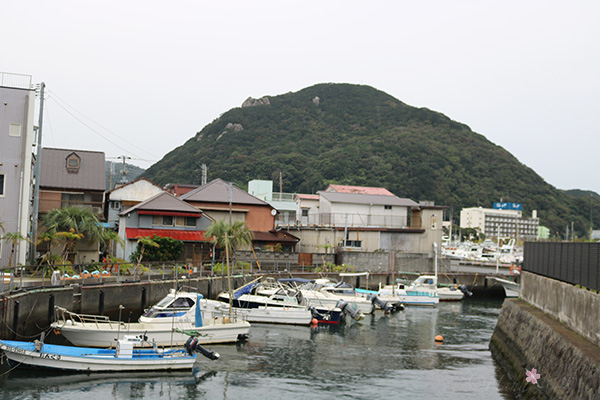 f:id:hana_b03A2019:20201106044408j:plain