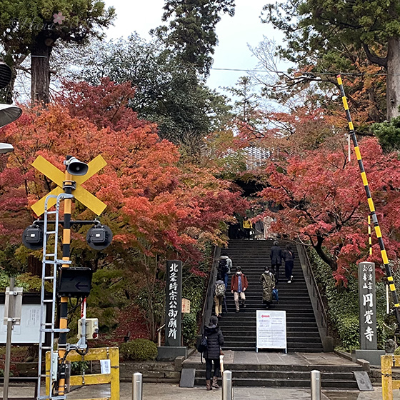 f:id:hana_b03A2019:20201206004822j:plain