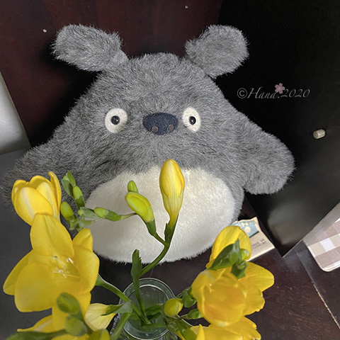 f:id:hana_b03A2019:20201222074319j:plain