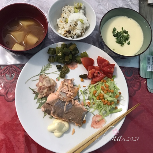 f:id:hana_b03A2019:20210220040629j:plain