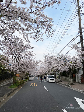 f:id:hana_b03A2019:20210329074357j:plain