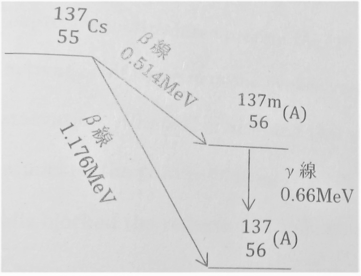 医学部編入】第1次選抜(筆記)試験問題の回答案 問題1(2 医学部編入】第1次選抜(筆記)試験問題の回答案 問題1(2