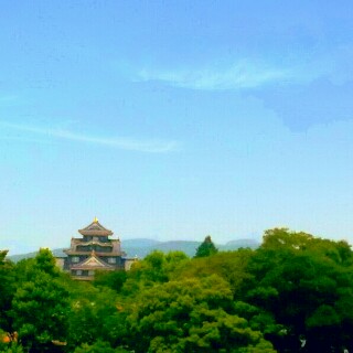 f:id:hana_mesemoafan:20170620091910j:image