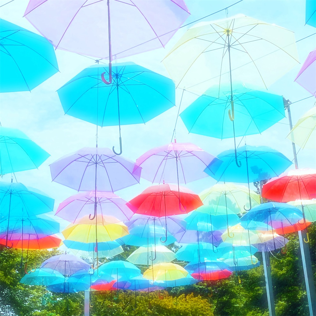 f:id:hana_temari:20240720203524j:image