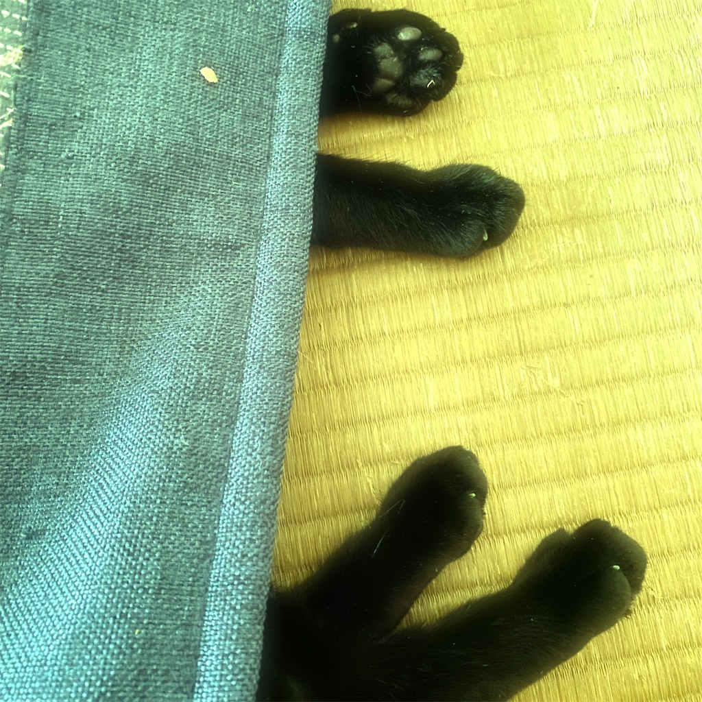 f:id:hana_temari:20240721124227j:image