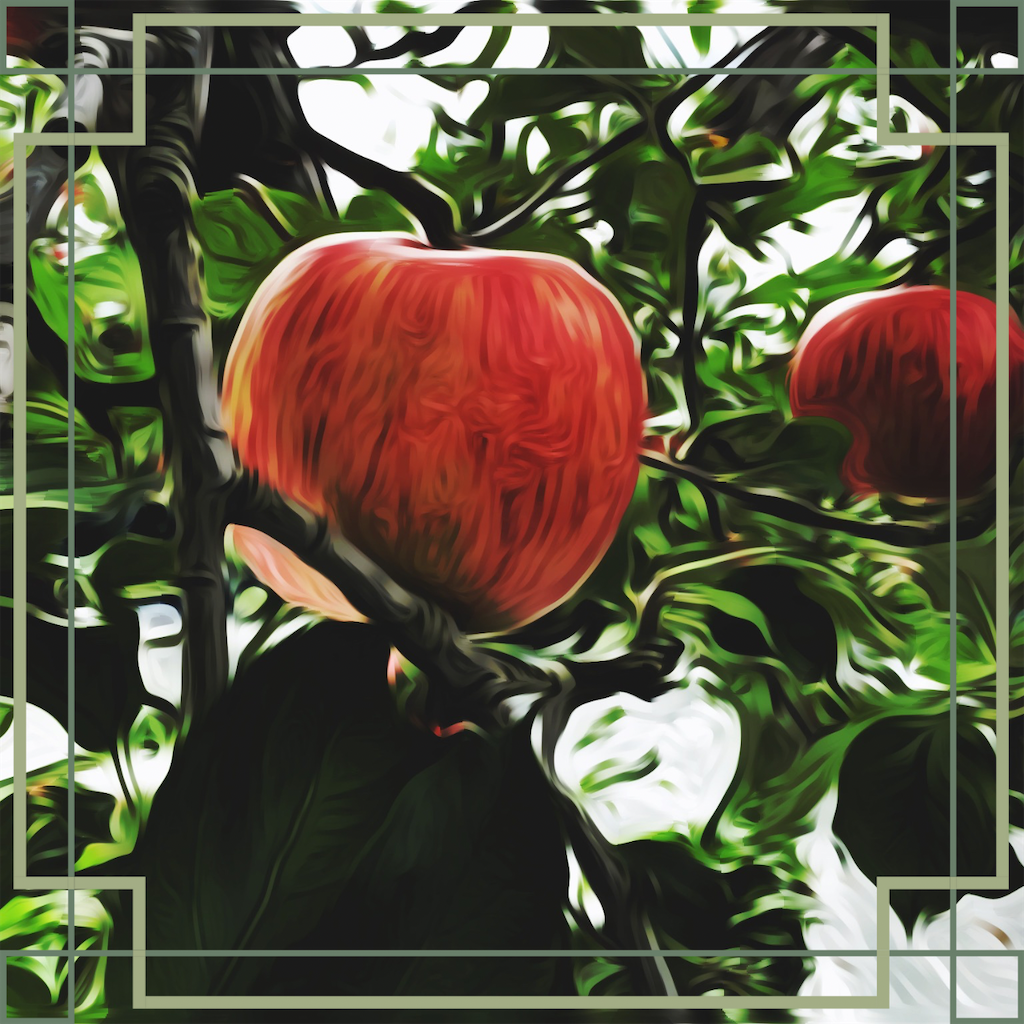 f:id:hana_temari:20241109200837p:image f:id:hana_temari:20241109200837p:image