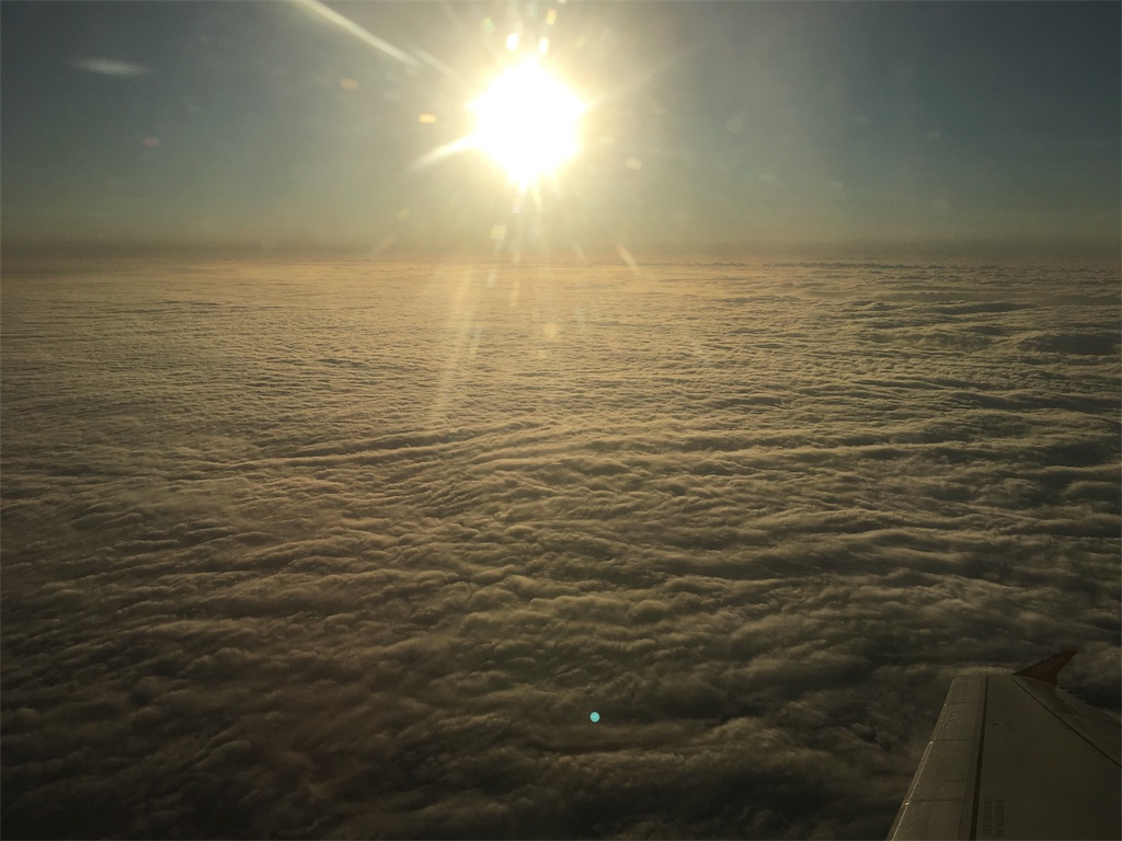 f:id:hana_voyage:20181021005807j:image f:id:hana_voyage:20181021005807j:image