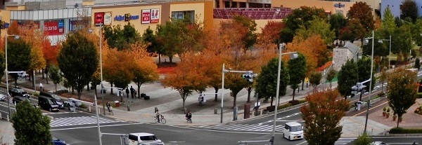 f:id:hanaaoi:20131023124305j:image