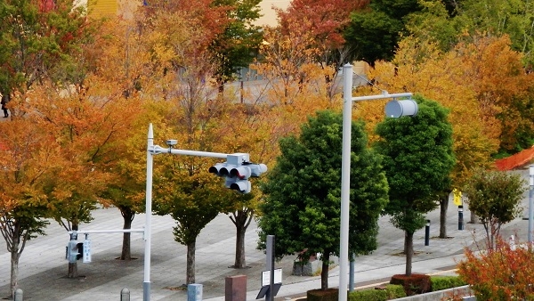 f:id:hanaaoi:20131023124332j:image