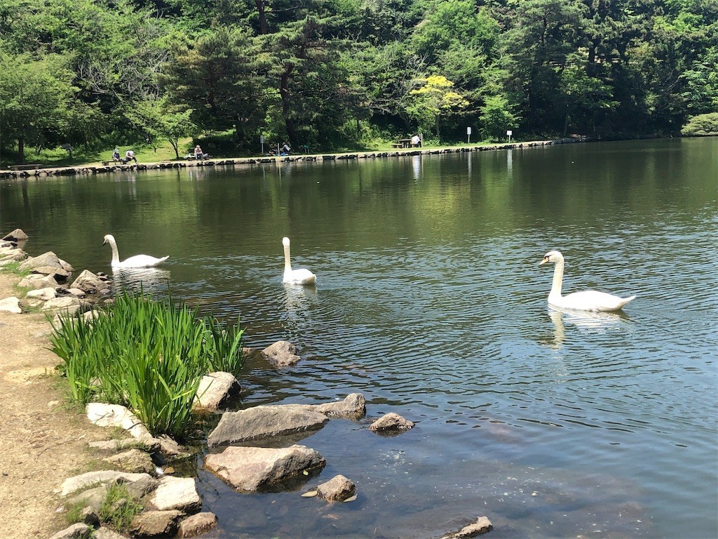 f:id:hanaara1:20210524090431j:image f:id:hanaara1:20210524090431j:image