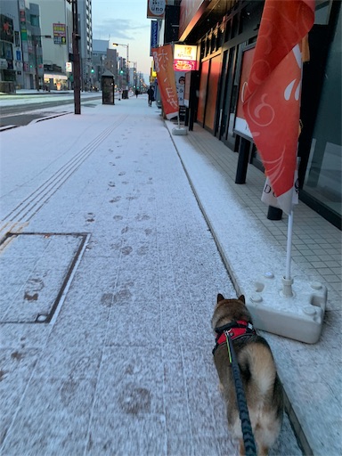 f:id:hanaazu:20190308193849j:image