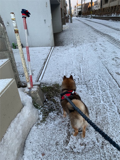 f:id:hanaazu:20190308193928j:image